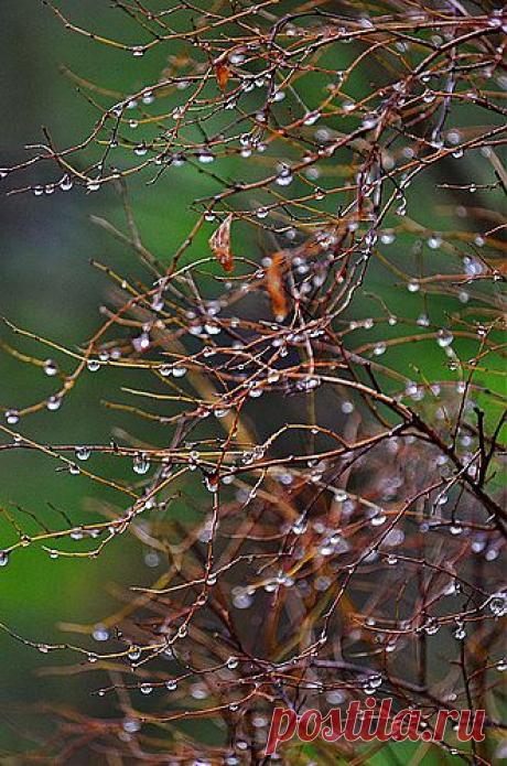 kaikups — «Многоэтажку заселили полностью...» на Яндекс.Фотках