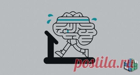 Мнемотехника: имена и лица, текст выступления, исторические даты, термины и игральные карты | Блог 4brain