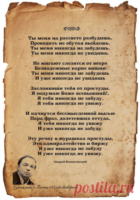 db956d7f50388fe88d68da461efea171.jpg (564×804)