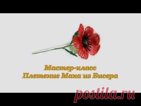 Мастер класс &quot;Плетение мака из бисера&quot; | Вышивка бисером и не только