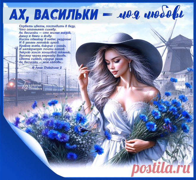 Ах, васильки — моя любовь… ~ Открытка (плейкаст)