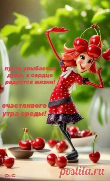 i (365×600)