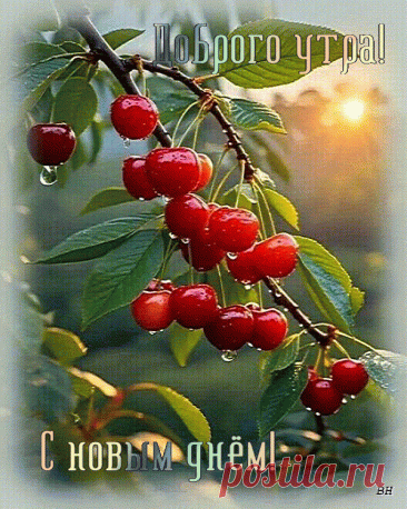 Пожелания на утро