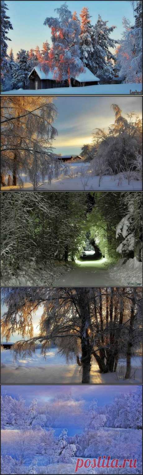 ЗИМНИЕ ПЕЙЗАЖИ. ШВЕЦИЯ.