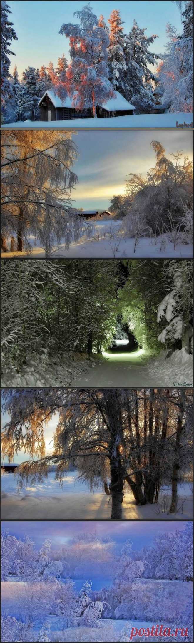 ЗИМНИЕ ПЕЙЗАЖИ. ШВЕЦИЯ.