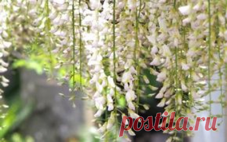 Природа обои на рабочий стол - страница 187