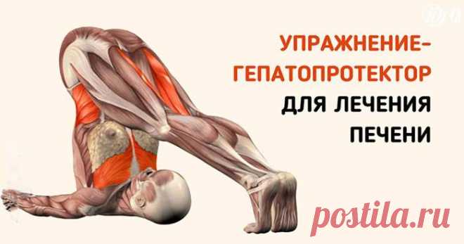 Гимнастика для печени