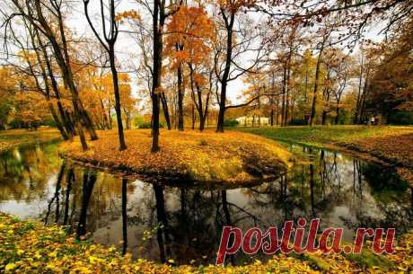 Краски осени в Санкт-Петербурге