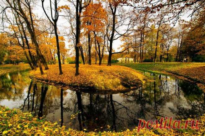 Краски осени в Санкт-Петербурге