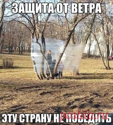 Смехопанорама. Супер! / Писец - приколы интернета
