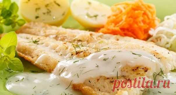 5 РЫБНЫХ РЕЦЕПТОВ ДЛЯ УЖИНА