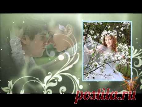 ProShow Producer. Working with Wedding Album
