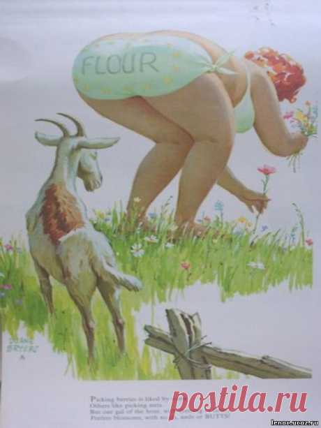 Мой блог: Хильда - очаровательная толстушка