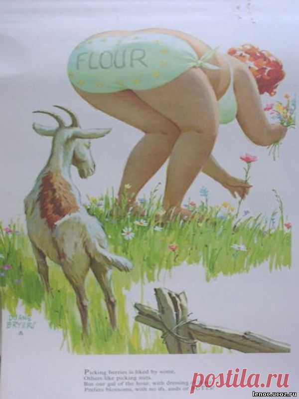 Мой блог: Хильда - очаровательная толстушка