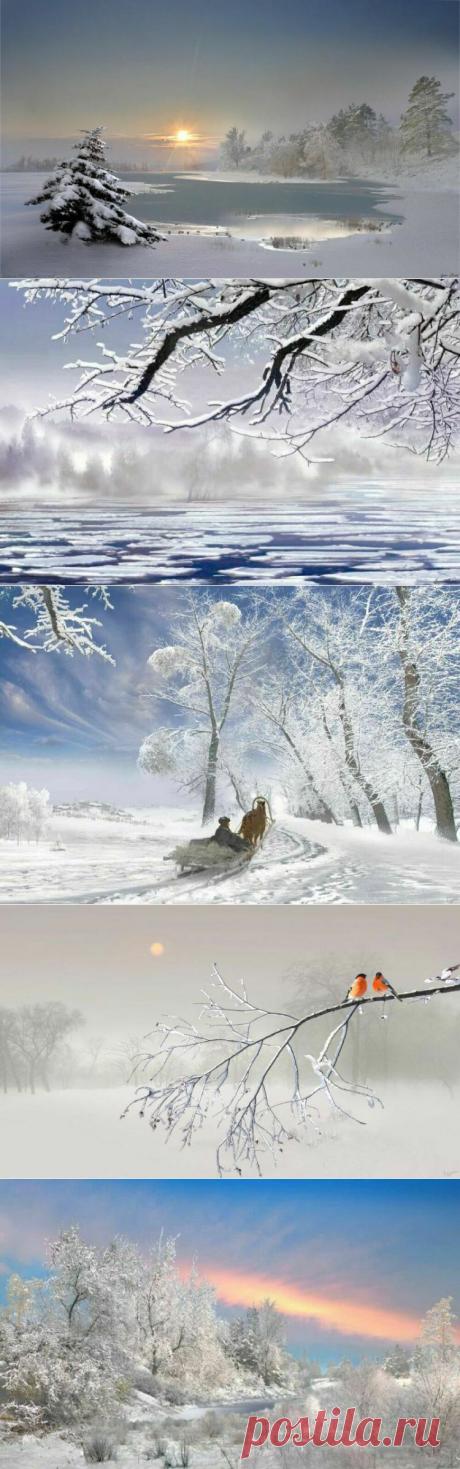 зимние пейзажи