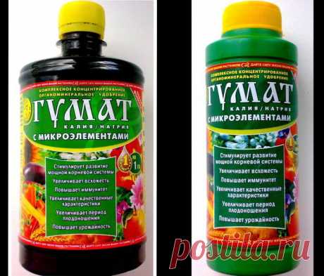 (+1) тема - Гумат калия: инструкция по применению | 6 соток
