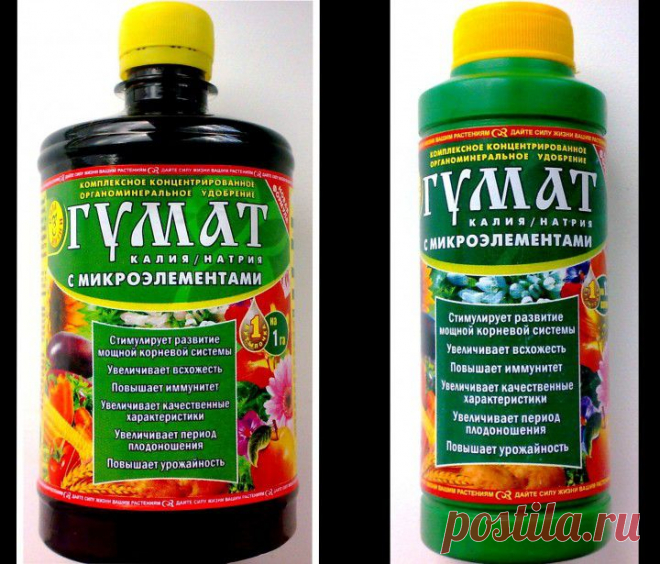 (+1) тема - Гумат калия: инструкция по применению | 6 соток
