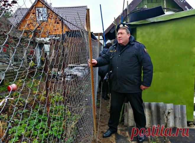 Какой забор можно установить между участками, чтобы соседи не жаловались? - 4 основных требования СНиП | БЛОГ СТРОИТЕЛЯ | Яндекс Дзен