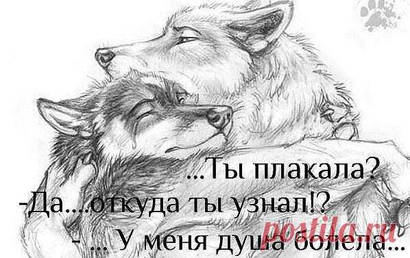 Интересные новости