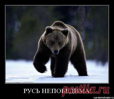 Россия- непобедима !