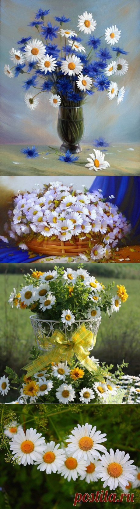 Запах солнца? Что за вздор! Нет, не вздор. В солнце звуки и мечты, Ароматы и цветы Все слились в ...