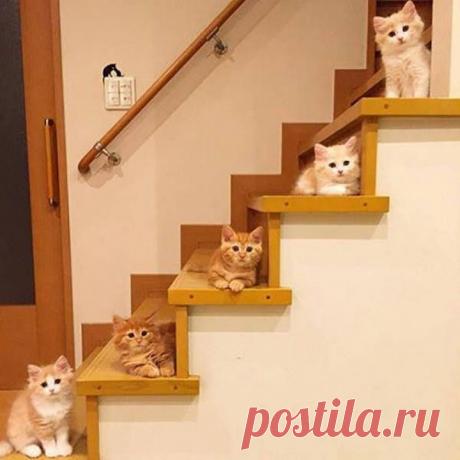 Забавные картинки специально для пятницы