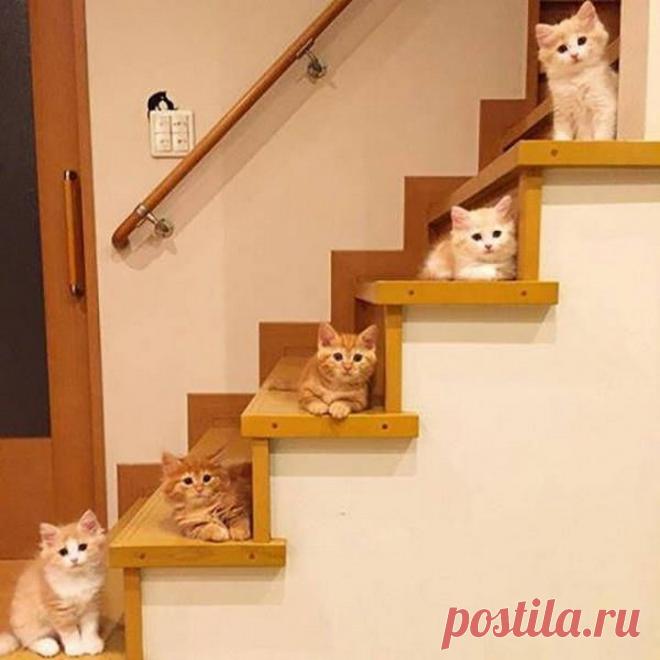 Забавные картинки специально для пятницы