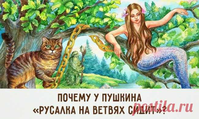 15 тайн знаменитых книг