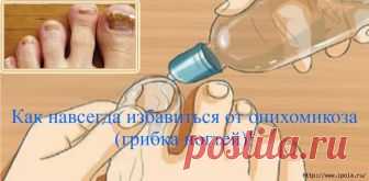 Ночами не спится, брожу по страницам. Любимые лица, любимые лица...