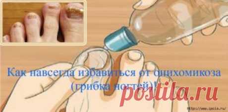 Ночами не спится, брожу по страницам. Любимые лица, любимые лица...