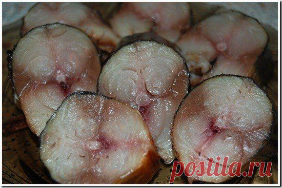 Домашняя скумбрия холодного копчения