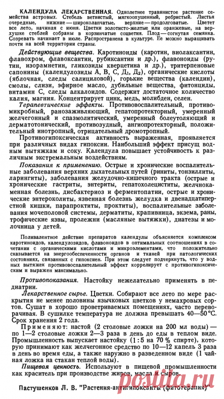 Календула лекарственная