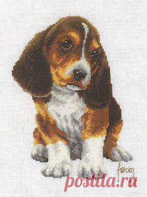 Vervaco -beagle