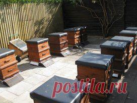 Одноклассники