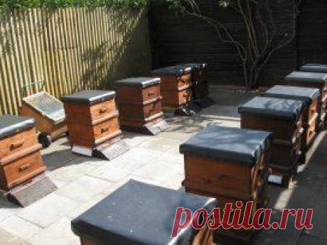 Одноклассники