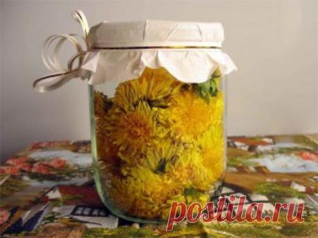 Самое мощное масло быстро устранит боли в суставах, шее, артрит, подагру, кисты в груди, головные боли и не только! 

Одна из причин, почему я так люблю весну, — яркие, солнечные личики цветов одуванчика на фоне свежей зеленой травы. Проснувшиеся пчелы обожают одуванчики, собирают нектар с желтых соцветий, наполняя воздух счастливым жужжанием. 

Моя семья тоже любит эти яркие цветы: каждую весну мы вместе собираем их для приготовления лекарственных средств и вкусных блюд. ...