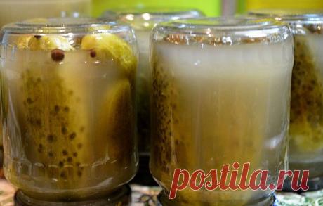 Соленые хрустящие огурцы в банках - простые и супер вкусные рецепты на зиму