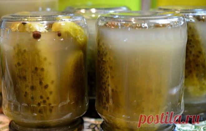 Соленые хрустящие огурцы в банках - простые и супер вкусные рецепты на зиму