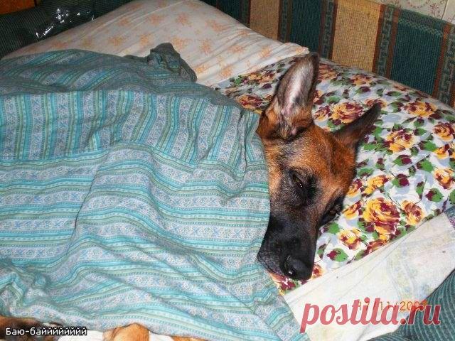 Умка ,тоже любитель поспать!!!