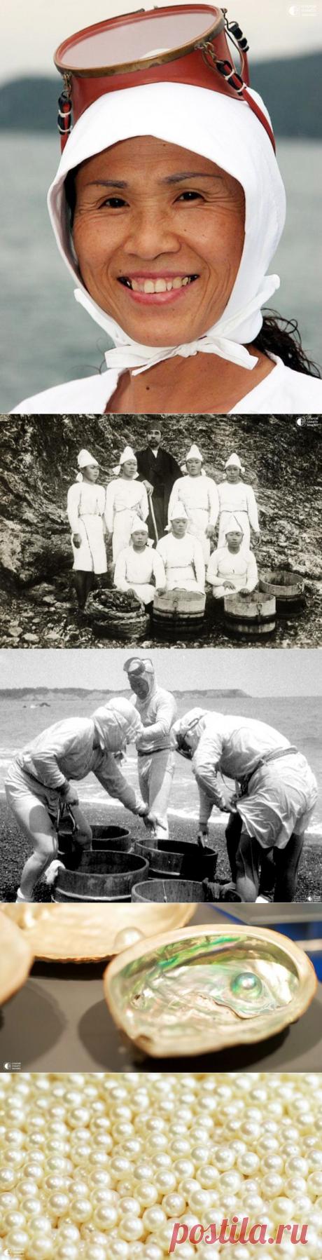 Ама - ныряльщицы за жемчугом из Японии - Путешествуем вместе