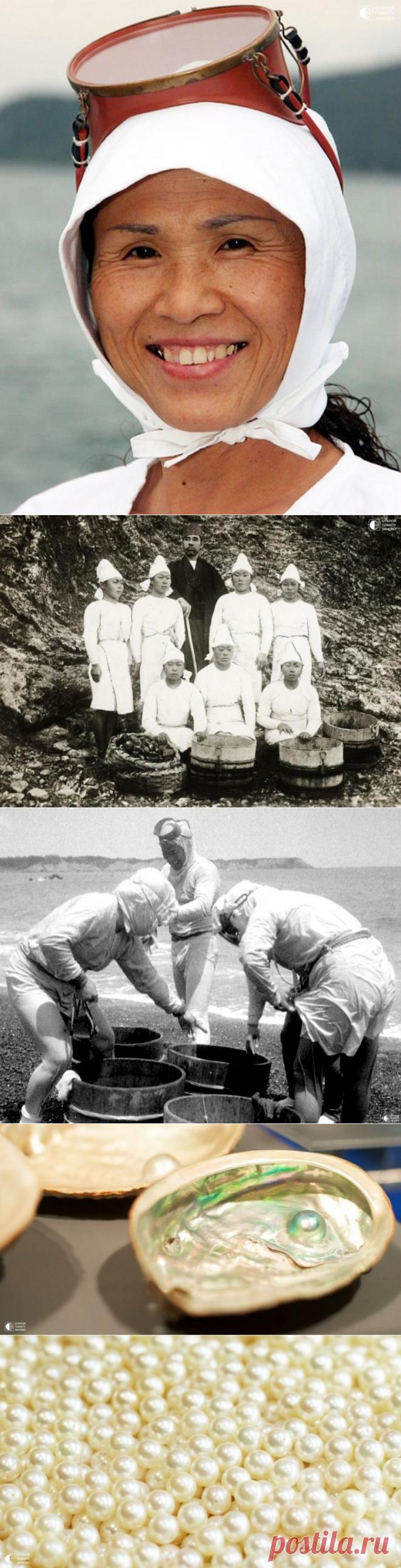 Ама - ныряльщицы за жемчугом из Японии - Путешествуем вместе