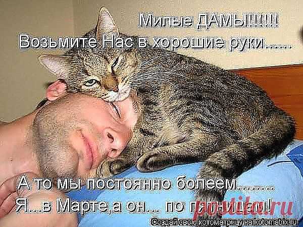 Дружба навеки!