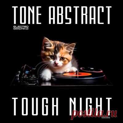 Tone Abstract – Tough Night - FLAC Music