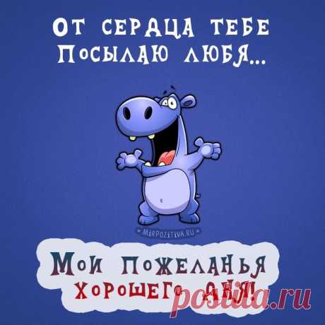 227ecd1c.jpg (750×750)