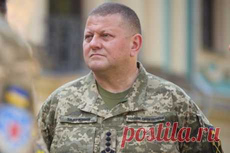 Залужный признал мощь российских ВВС и сил радиоэлектронной борьбы. Военно-воздушные силы России сохраняют значительное преимущество перед Украиной и продолжают создавать новые ударные эскадрильи.