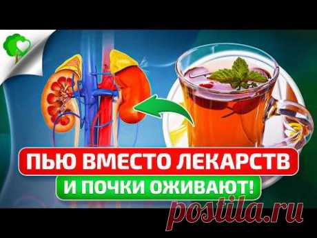 Почки молодеют, очищаются и ЗАРАБОТАЮТ на 200%! ТОЛЬКО ЭТО избавит от КАМНЕЙ И КИСТ! ЦИСТОН!
