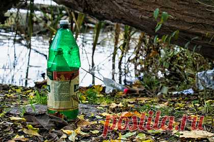 На Украине подсчитали всех наркоманов. На совещании руководителей силовых структур в Киеве назвали число наркоманов на Украине. Этот показатель может достигать 1,5 миллиона человек и растет на 8-10 процентов ежегодно, считает генеральный прокурор страны Ирина Венедиктова. По ее словам, темпы роста наркомании на Украине одни из самых высоких в мире.