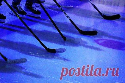 Сборная США выиграла молодежный чемпионат мира по хоккею. Сборная США по хоккею обыграла Швецию в финале молодежного чемпионата мира по хоккею. Встреча прошла в ночь на четверг, 6 января, и завершилась со счетом 6:2 в пользу американцев. В составе победителей дубль оформил Айзек Ховард, еще по шайбе забросили Гейб Перро, Зив Буйум, Райан Леонард и Рутгер Макгроутри.