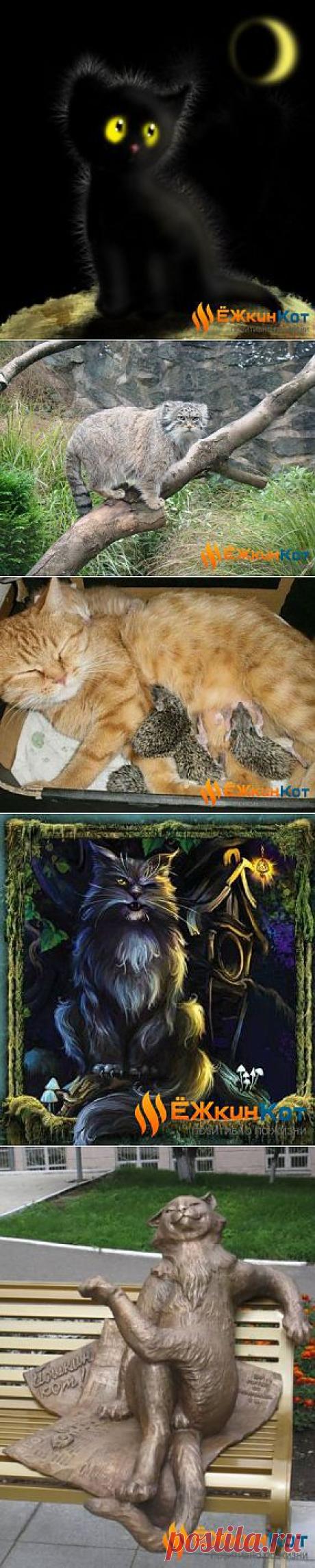 Ёжкиному Коту посвящается… &amp;raquo; Ёжкин Кот