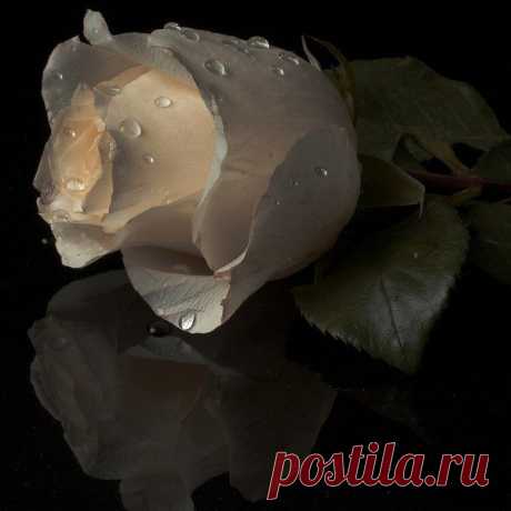 Интересные новости